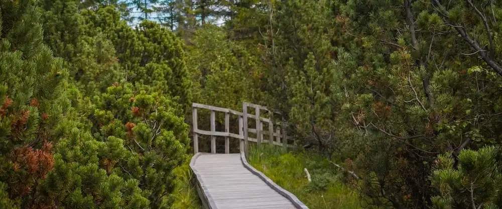 Proč jsou Krušné hory ideální destinací pro zážitkové pobyty