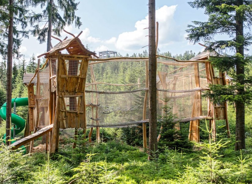 Hotel Element leží na břehu lipenské přehrady