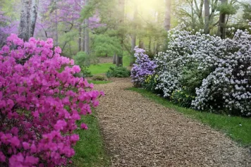Botanická zahrada Praha: tipy a zajímavosti