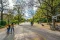 Objevte Klenot Amsterdamu: Vondelpark
