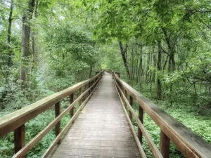 Nebeský žebřík u Smrku: Skvost Jižerských hor