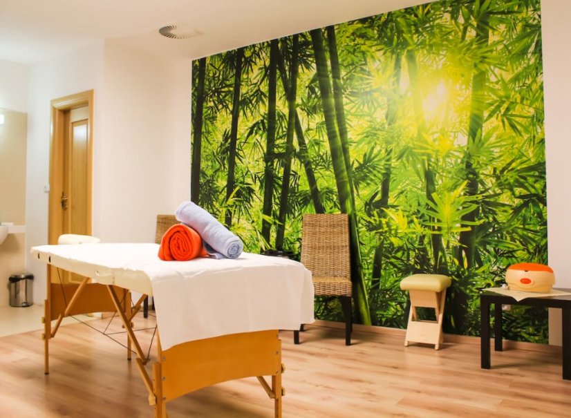 Wellness pobyt v Českém Švýcarsku pro dva a wellness procedurami
