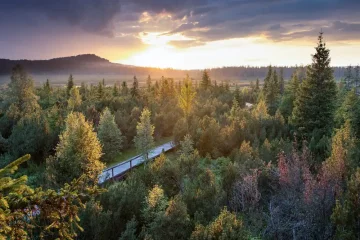 Národní Park Šumava: Zajímavosti a Tipů pro Návštěvníky