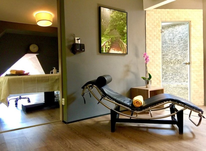 Wellness pobyt v Mariánských Lázních Hotel DaVinci