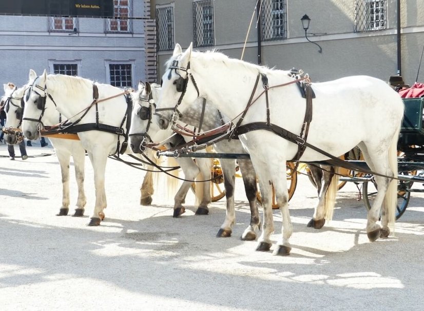 FourSide Salzburg: 3 hotel blízko centra města