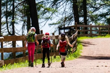 Objevte kouzlo Českého lesa: Nekonečné možnosti pro pěší turistiku a cyklistiku
