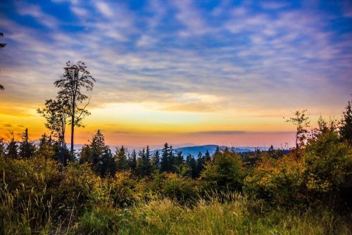 Šumava