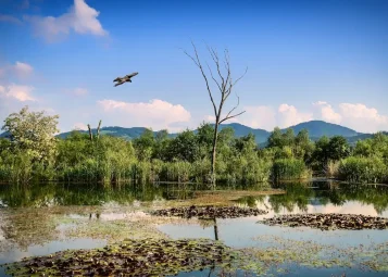 Víno a Sýry z Regionu Lavanttal: Vaše Průvodce Klenoty Korutan