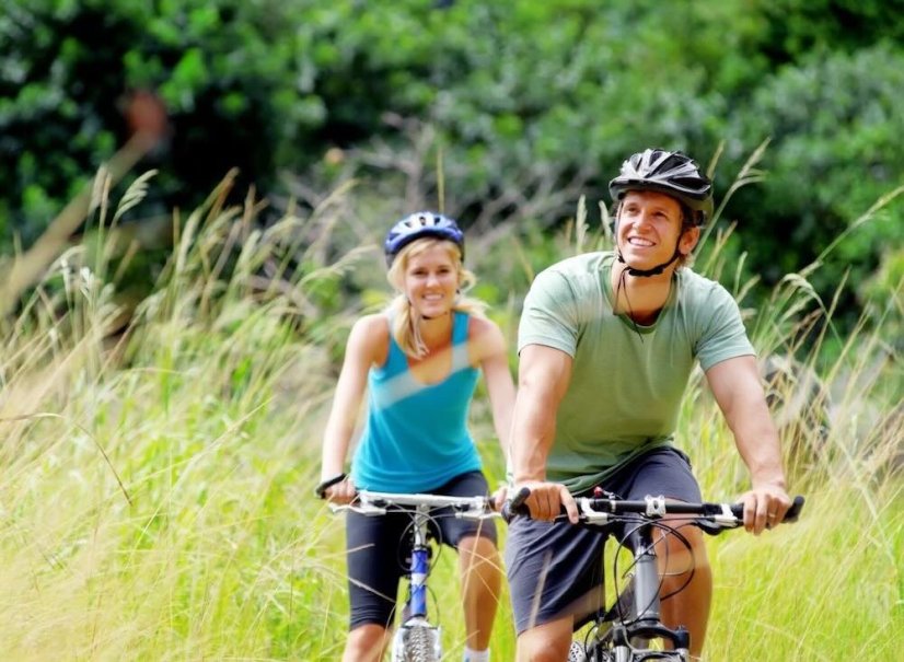 Zámecký hotel u Vídně – pokoje, polopenze a wellness centrum