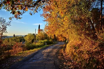 Chianti: Raj pro milovníky vína a okouzlující Toskánsko