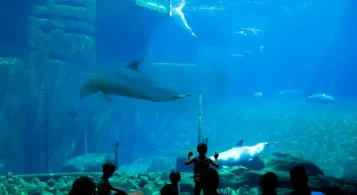 Norimberka: Delfinárium, ZOO