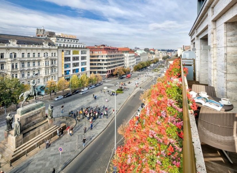Occidental Praha Wilson