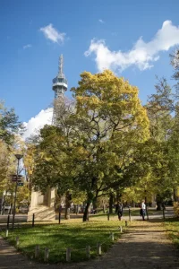Zajímavosti a tipy z Petřínského zrcadlového bludiště Zajímavosti a tipy z Petřínského zrcadlového bludiště