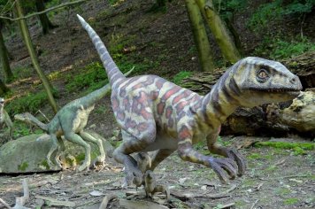 Dinopark Szklarska Poreba: Zažijte dobrodružství v pravěké éře v malebné horské oblasti!