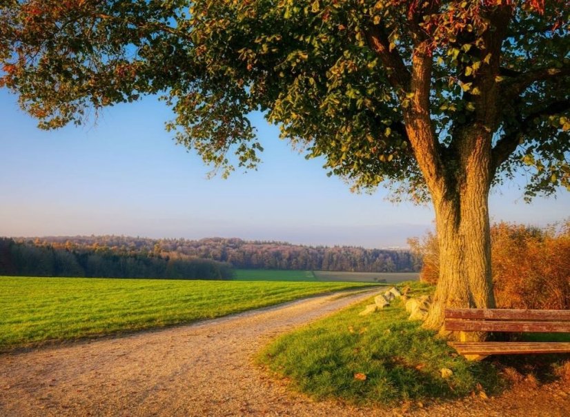 Wellness pobyt v Bavorském lese