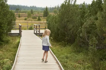Průvodce Národním Parkem Šumava: Tipy a Zajímavosti