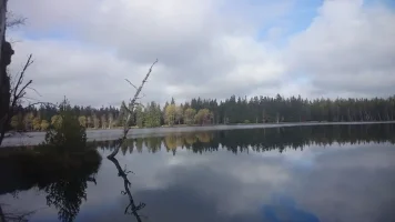 Přírodní rezervace Kladská: Oáza Klidu a Krásy