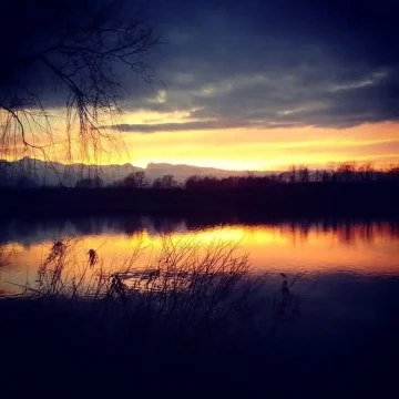 Vrbenské rybníky České Budějovice