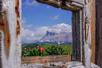 Proč si vybrat Trentino?