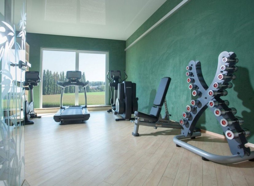 Wellness v Therme Erding s Aquaparkem 