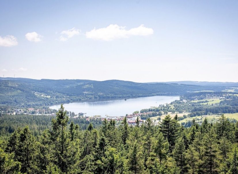 Hotel Element leží na břehu lipenské přehrady