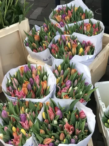Květinový trh Bloemenmarkt v Amsterdamu: Nejlepší Tipy