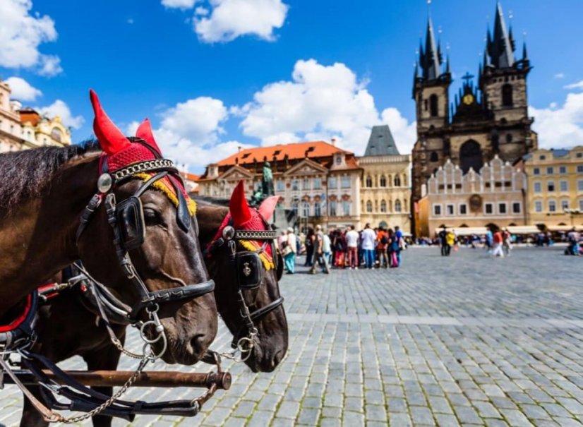 Prvotřídní Hotelu Occidental Praha Five