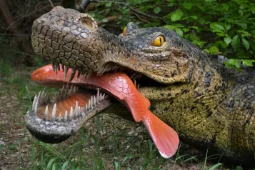 Dobrodružství v Dino Parku Plzeň: Kompletní průvodce