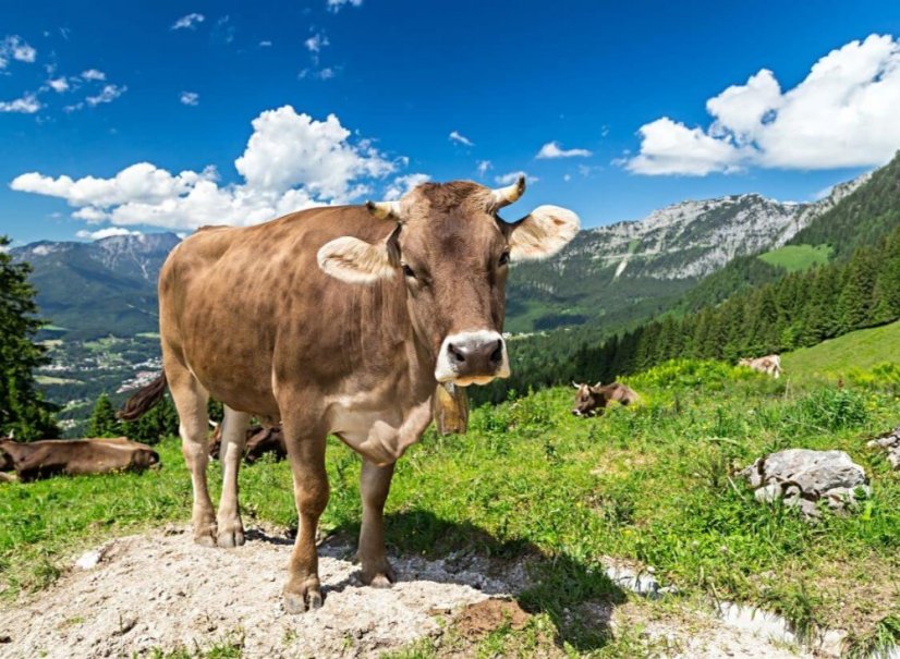 V Garmisch-Partenkirchnu je sezóna po celý rok!