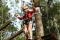 Proč by Sárvár Adventure Park Měl být Váš Příští Cíl