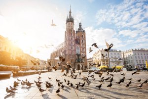 Krakov - perla Polska plná historie a kultury