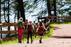 Objevte kouzlo Českého lesa: Nekonečné možnosti pro pěší turistiku a cyklistiku
