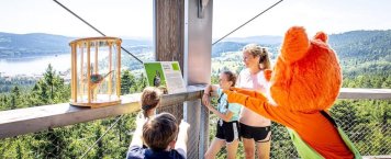 Stezka korunami stromů Lipno nad Vltavou