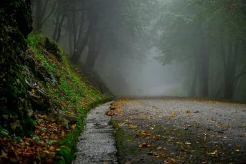 Neobjevené klenoty Českého lesa