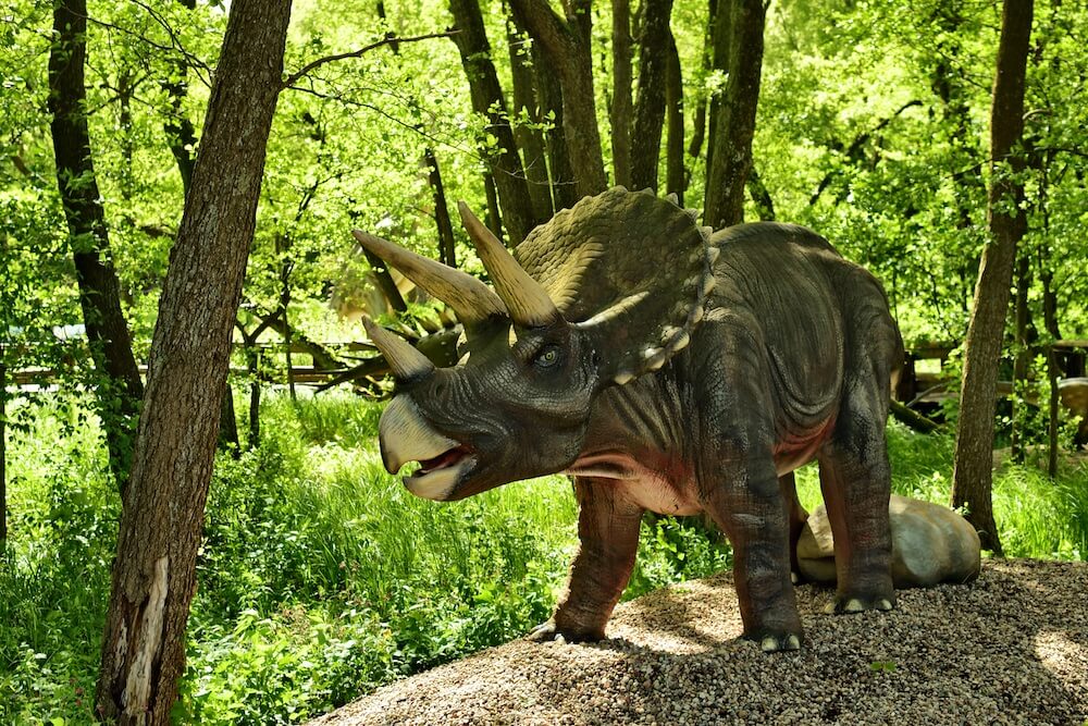 Triceratops Dino Park